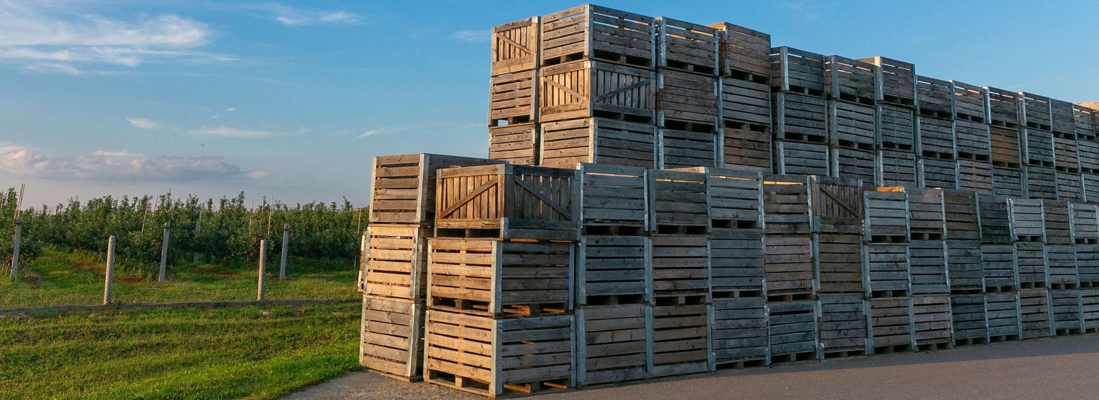 mt isa pallets